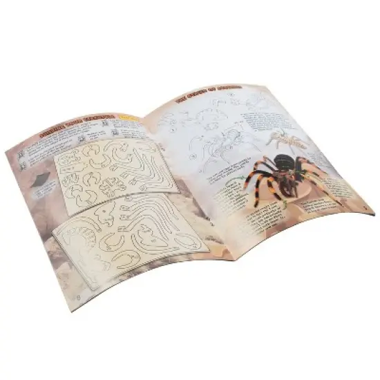 WILD! Environmental Science Extreme Spiders of the World image {2}