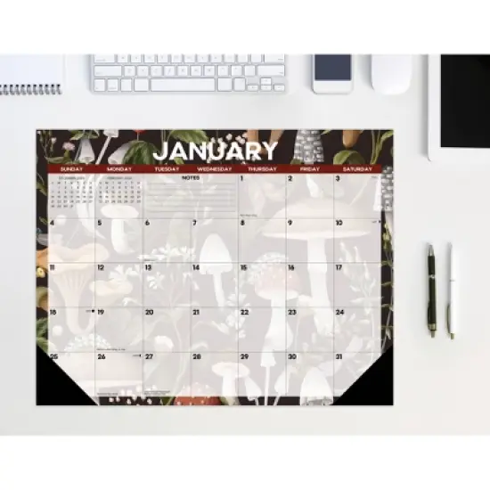 Willow Creek Press 22"x17" 2026 Mushrooms Large Monthly Deskpad image {5}