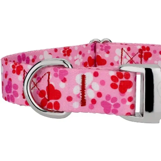 Country Brook Petz Premium Puppy Love Dog Collar image {4}