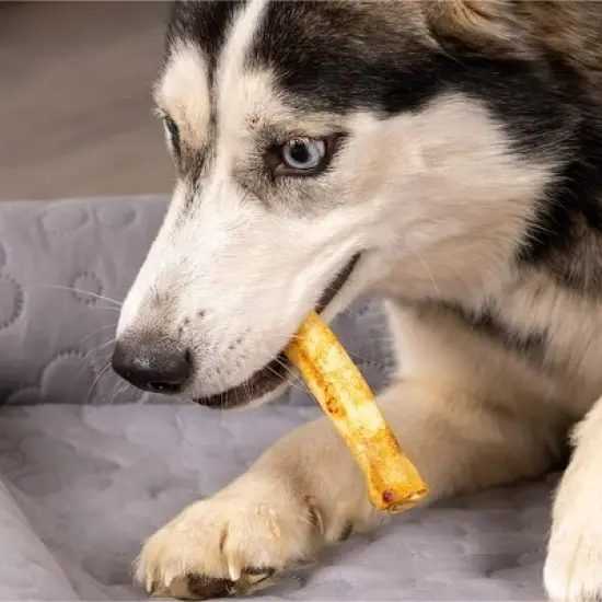 Pet Factory Made in USA Beefhide Chip Rolls - 5" image {2}