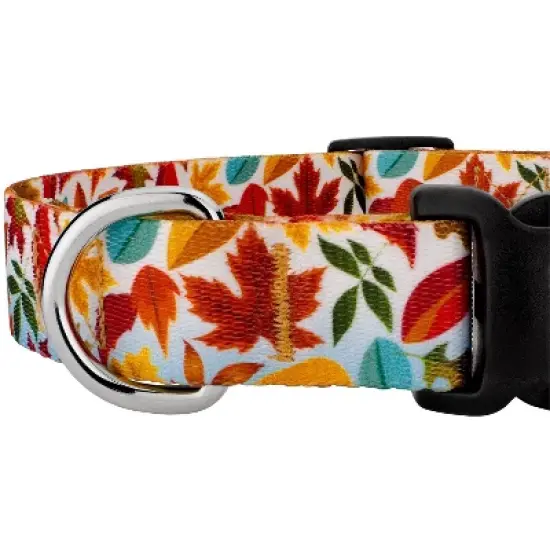 Country Brook Petz Deluxe Collar and Leash - Awesome Autumn Collection image {3}