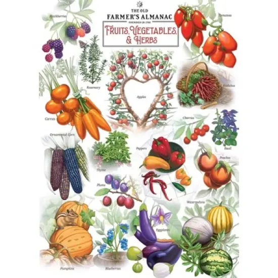 MasterPieces 1000 Piece Jigsaw Puzzle - Fruits Vegetables and Berries image {2}