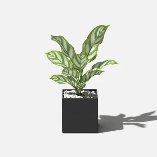 Geo Series Cube Plastic Planter image {5}