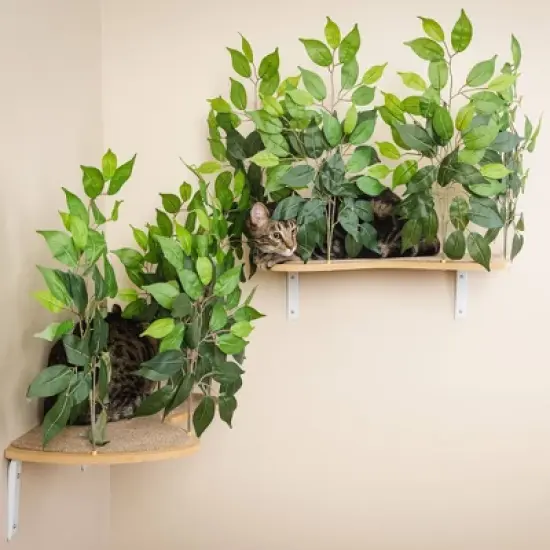 On2Pets Canopy Shelves Cat Beds - White image {2}