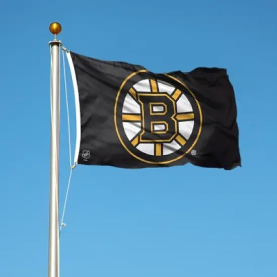 3' x 5' NHL Boston Bruins Deluxe Flag image {2}