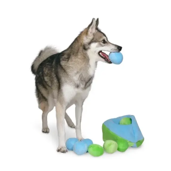 Midlee Hide a Ball Dog Toy - Blue/Green image {3}