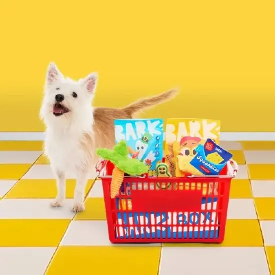 BARK Beg-n-Bag Small Box Dog Plush Toy Set - 5pc image {4}