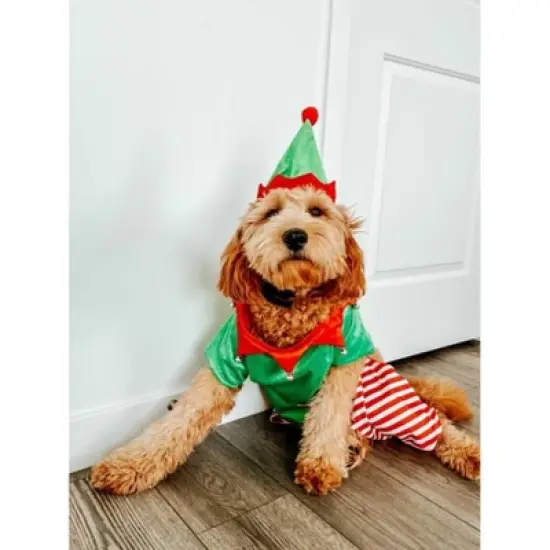 Midlee Dog Elf Costume image {3}