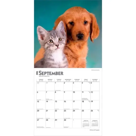 BrownTrout Kittens and Puppies 2026 12"x24" Hanging Square Wall Calendar Plastic-Free image {3}