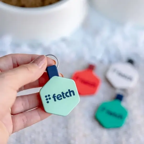 Lifekey Fetch Smart Pet Tag image {1}
