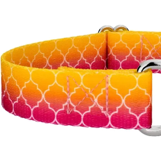Country Brook Petz Fabulous Ombre Martingale Dog Collar image {3}