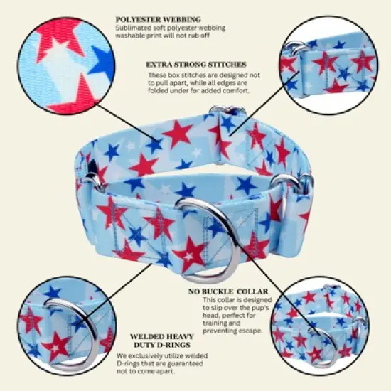 Country Brook Petz HossFit Jr Wide Martingale Dog Collar - Americana Collection image {4}