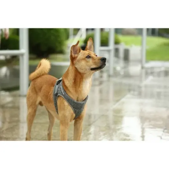 PETKIT Air Pro Dog Harness - M image {5}