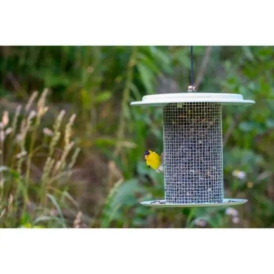 Bird Choice Modern Farmhouse Sunflower Seed Tube Bird Feeder 9.5" Sage Green image {4}