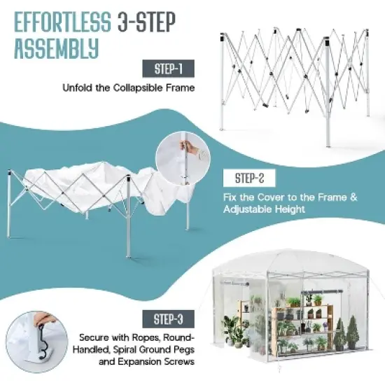 AMERLIFE Outdoors Pop-up Greenhouses with Adjustable Reinforced Frame image {2}