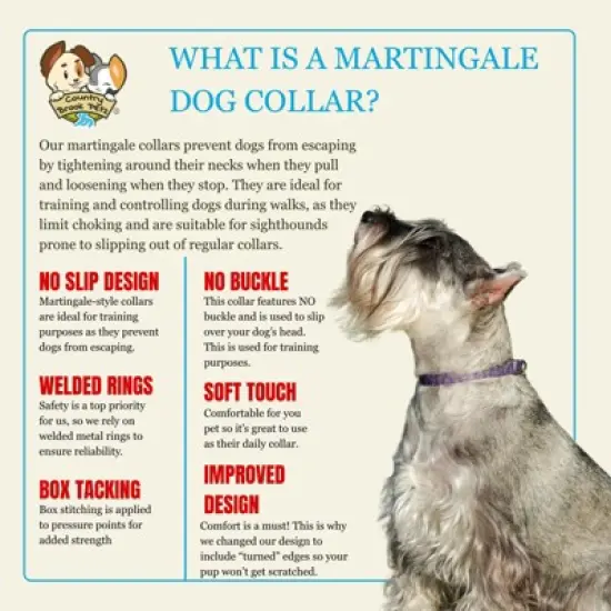 Country Brook Petz HossFit Jr Wide Martingale Dog Collar, Tasty Collection image {3}