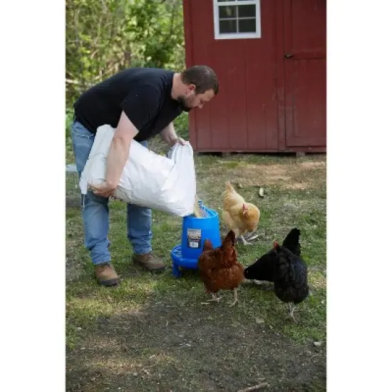 Double-Tuf Blue Poultry Feeder with Legs - 4 Lbs image {1}