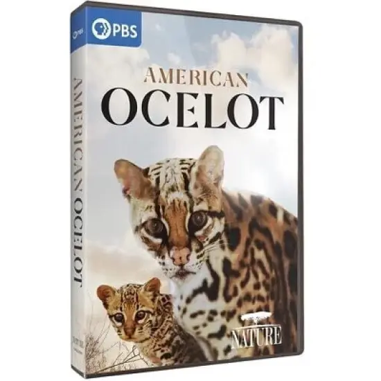 NATURE: American Ocelot (DVD) image {1}