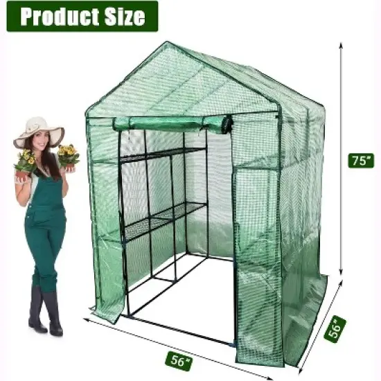Acekool Walk-in Greenhouse with Roll-Up Zipper Door, 57 x 57 x 76 Inch Portable Indoor Outdoor Greenhouse, 3-Tier 6 Shelves for Garden Patio Backyard image {1}