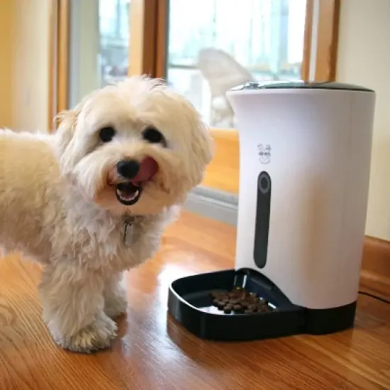 Arf Pets Automatic Pet Feeder, Cat & Dog Food Dispenser Bowl image {4}