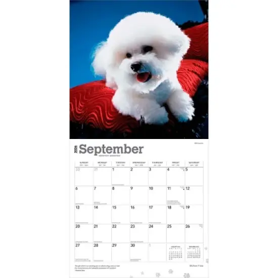 BrownTrout Bichon Frise 2026 12"x24" Hanging Square Wall Calendar Plastic-Free image {3}