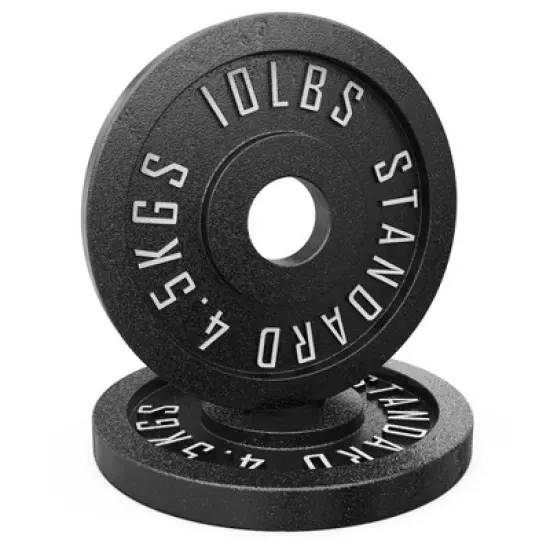Synergee Standard Metal Weight Plates image {7}