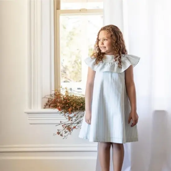 Hope & Henry Girls' Ruffle Yoke A-Line Dress, Toddler image {2}