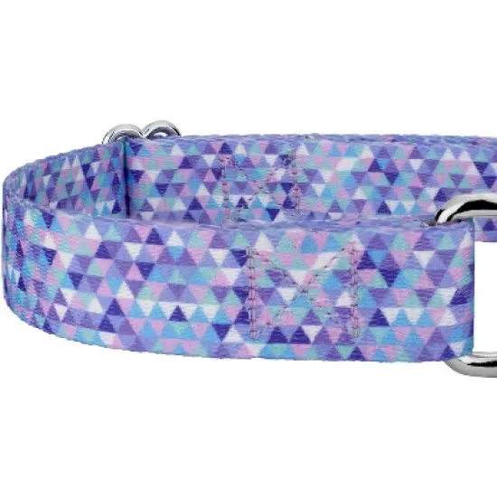Country Brook Petz Martingale Dog Collar - Abstract Collection image {4}