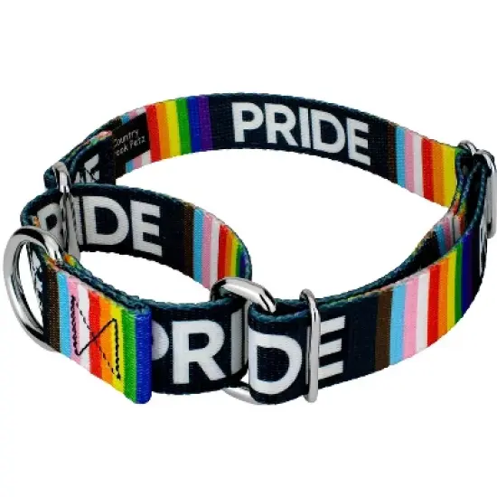 Country Brook Petz Pride Martingale Dog Collar image {1}
