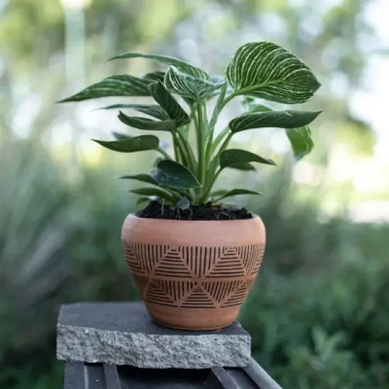 Terracotta Terracotta Planter - Foreside Home & Garden image {4}