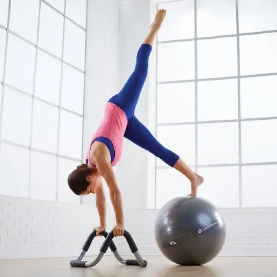 Merrithew Trainer Plus with Stability Ball and Pump image {1}