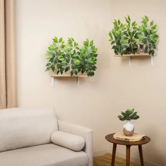 On2Pets Canopy Shelves Cat Beds - White image {1}