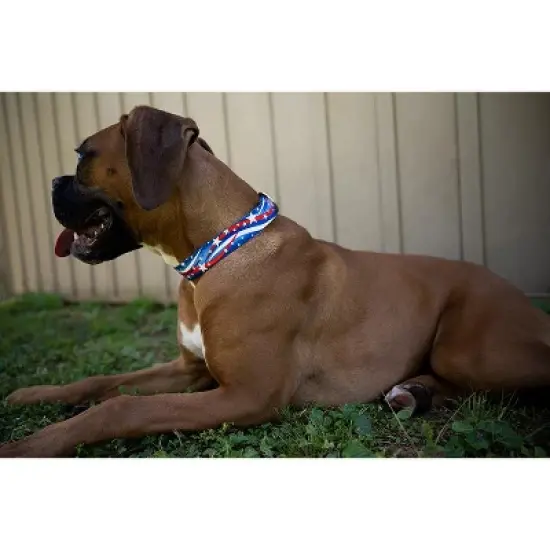 Country Brook Petz Deluxe Star Spangled Dog Collar - Made In The U.S.A. image {1}