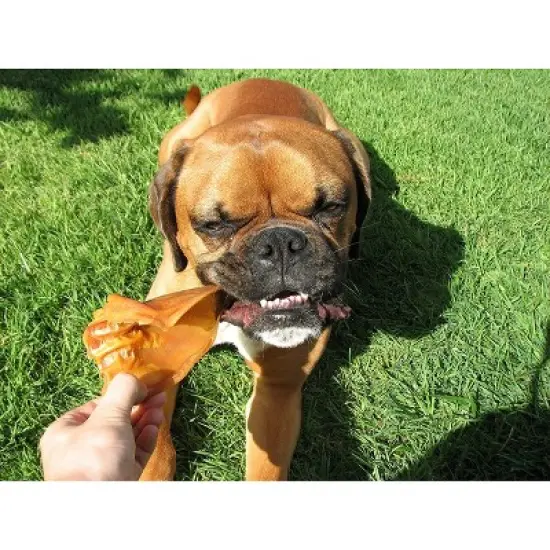 Pawstruck Natural Jumbo Pig Ears Chews for Dogs  | Premium Pork Treats Made In USA | Supports Dental Health | No Artificial Ingredients image {7}