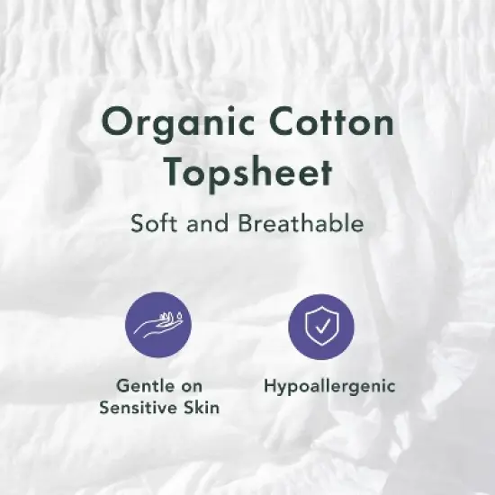 Rael Organic Disposable Period Underwear - S/M - 5ct image {3}