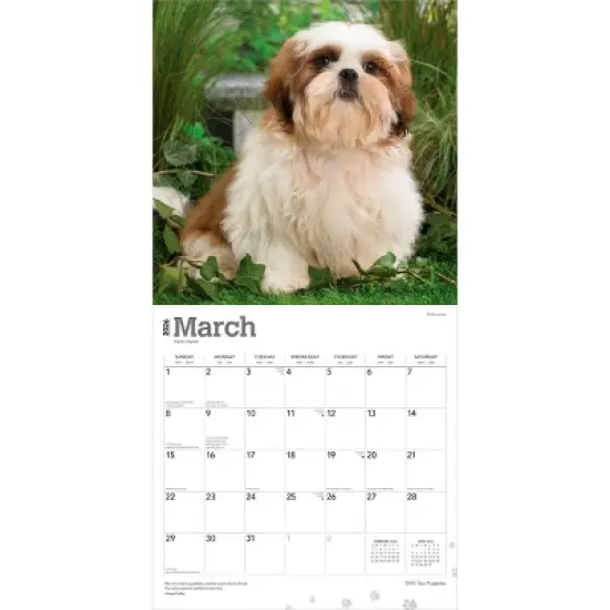 BrownTrout Shih Tzu Puppies 2026 12"x24" Hanging Square Wall Calendar Plastic-Free image {2}