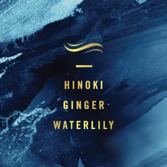 Febreze Plug Variety Pack Air Freshener - Elemental - 2.63 fl oz/3pk image {3}