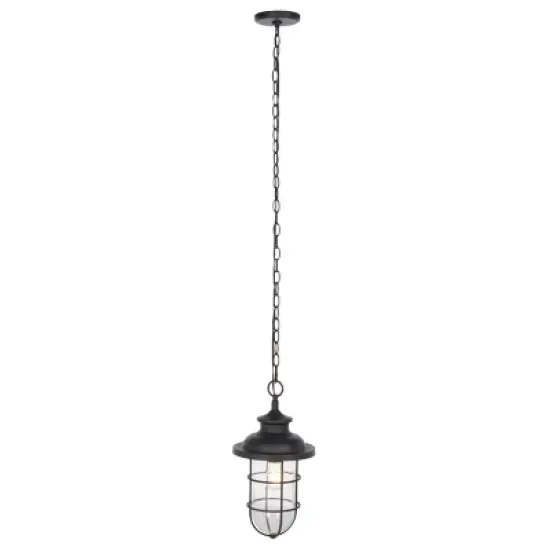 Adelle 9" Outdoor Pendant - PLT7013 - Black - Safavieh image {1}