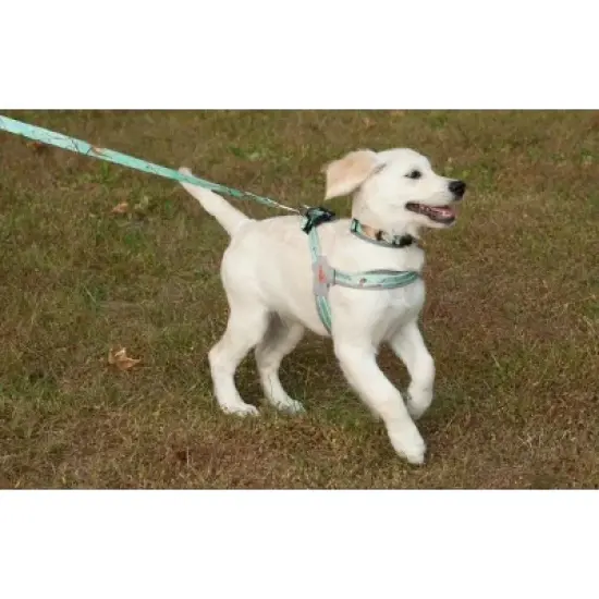 Doggy Tales Realtree Adjustable Dog Collar Sea Glass image {2}