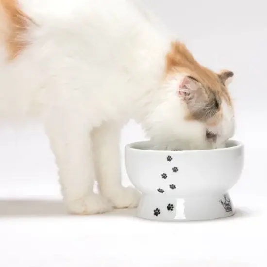 Necoichi Raised Cat Water Bowl image {4}