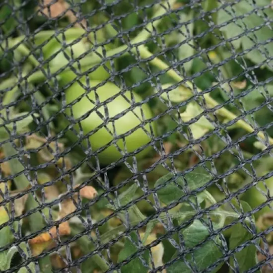 DeWitt 14 Foot Garden Bird Barricade Plant Protector Deluxe Netting (2 Pack) image {2}