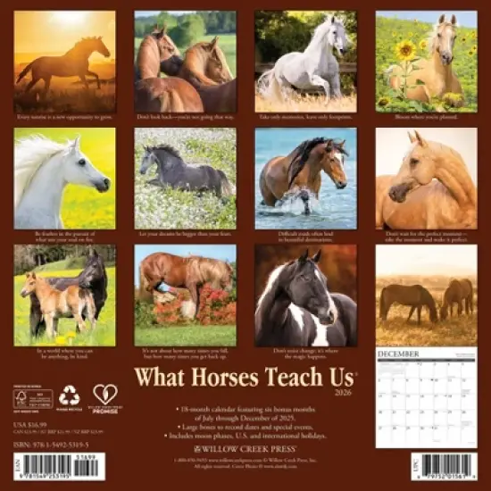 Willow Creek Press 2026 What Horses Teach Us Wall Calendar image {1}