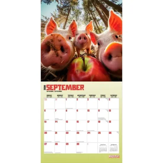 BrownTrout Pigsty 2026 12"x24" Hanging Square Wall Calendar Plastic-Free image {3}