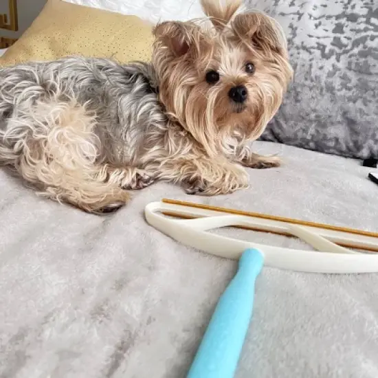 Uproot Clean Max Dog and Cat Hair Clean Up Grooming Tools image {7}