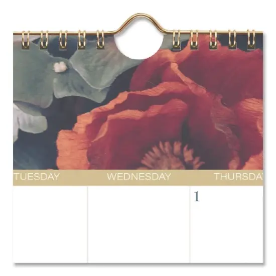 Mead Products Midnight Garden Monthly Wall Calendar 12-Month January 2026 to December 2026 Floral Artwork 15 x 12 image {1}