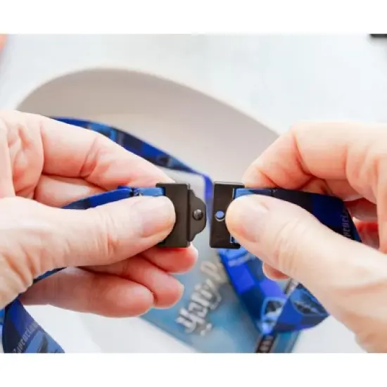 Silver Buffalo Harry Potter Ravenclaw 22-Inch Lanyard With ID Badge Holder and Crest Charm image {6}