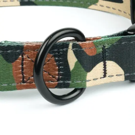 Country Brook Petz Premium Reflective Dog Collar image {4}