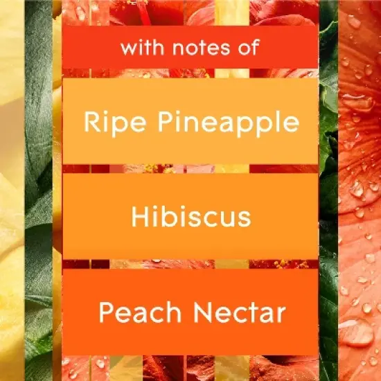 Glade PlugIns Scented Oil Air Freshener Refills - Hawaiian Breeze - 1.34oz/2pk image {6}