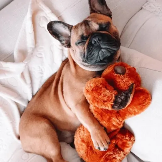 Snuggle Puppy Heartbeat Stuffed Toy - Brown Mutt image {3}