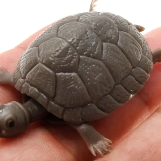 Unique Bargains Aqua Landscape Tortoise Tank Decoration Plastic Betta Fish Aquarium Ornament image {1}